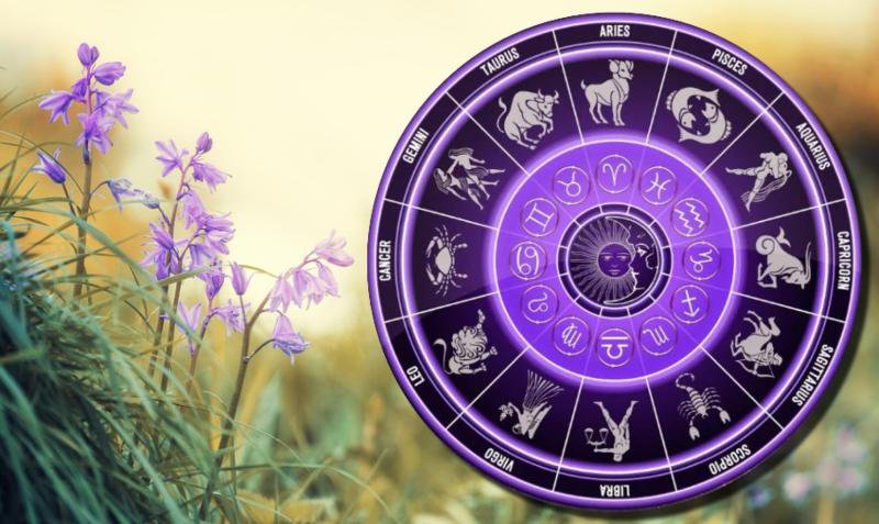 Horoscopul săptămânii 31 martie - 6 aprilie: Taurii sunt încrezători. Leii vor avea oportunitate financiară neașteptată
