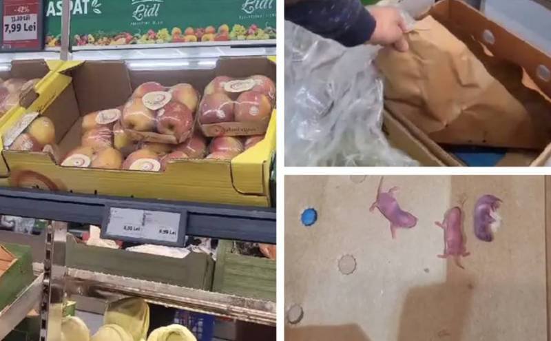 Descoperire șocantă la raftul de fructe dintr-un supermarket Lidl