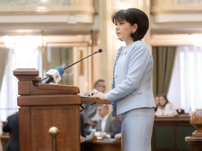 Constructor desemnat pentru Linia Electrică …