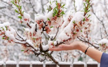 Se răcește vremea! Meteorologii anunță …