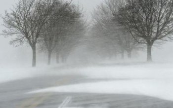 COD GALBEN de vânt, viscol …