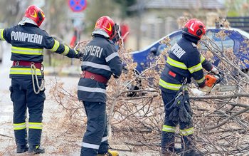 Tencuială desprinsă de pe blocuri, …