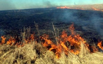 Incendii de vegetație uscată, stuf …