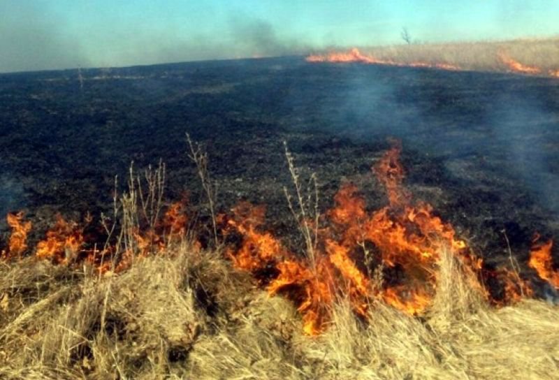Incendii de vegetație uscată, stuf și furaje, în ultimele ore la Cucorăni, Roma și Concești