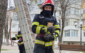 Pisică blocată de două zile …