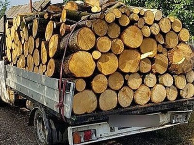 Material lemnos confiscat la Șendriceni …