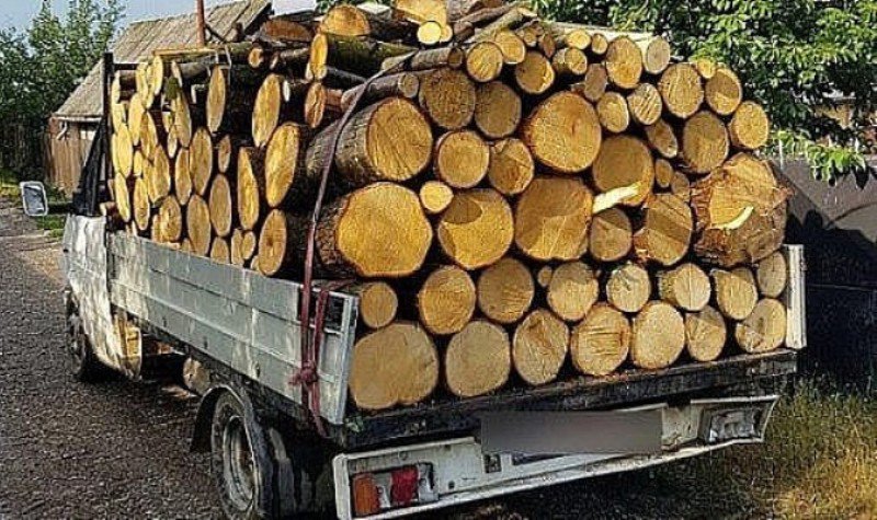 Material lemnos confiscat la Șendriceni de politisti