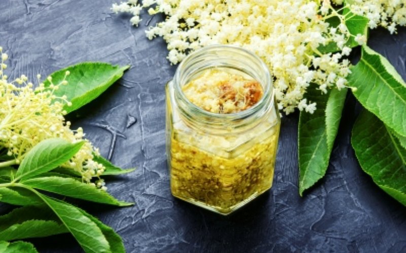 Tinctura de soc - benefică în tulburări hormonale, boli psihice sau intoxicații