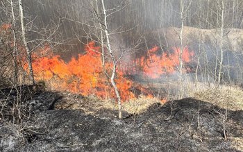 Două incendii de vegetație uscată …