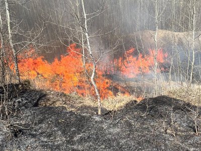 Două incendii de vegetație uscată …