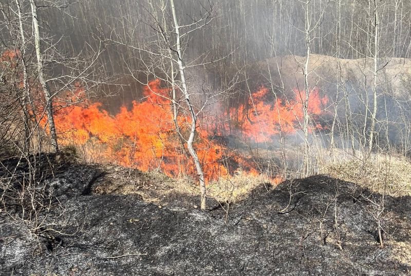 Două incendii de vegetație uscată și stuf, în Vinerea Mare, la Dersca și Vlăsinești