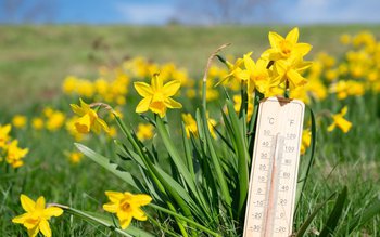 Vremea s-ar putea schimba radical …