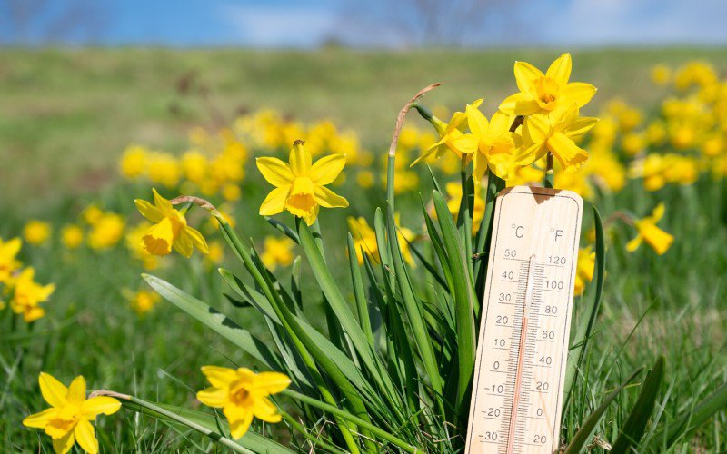 Vremea s-ar putea schimba radical de 1 mai. Avertizările meteorologilor