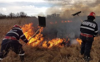 Două incendii de vegetație uscată …
