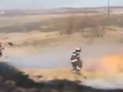 Incendii de vegetație uscată și …