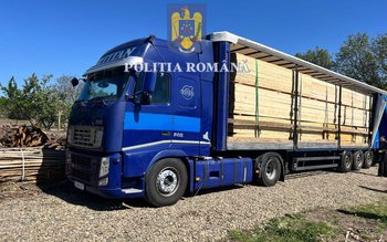 Peste 50 de metri cubi …