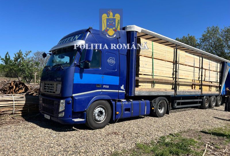 Peste 50 de metri cubi de material lemnos confiscat de polițiști în comuna Suharău