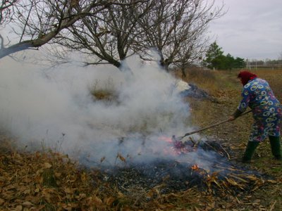 Dorohoiancă amendată pentru ardere de …