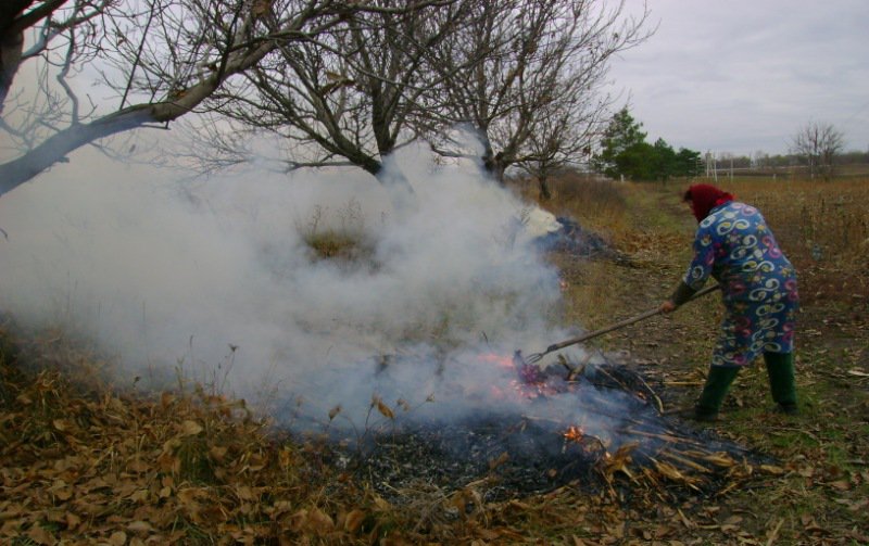 Dorohoiancă amendată pentru ardere de materiale plastice și deșeuri vegetale