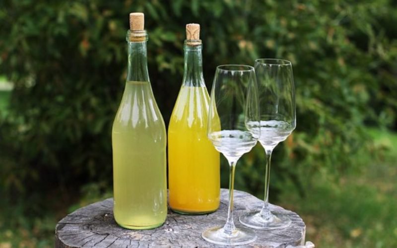 Cum se prepară vinul medicinal din flori de păpădie, o băutură naturală cu puteri tămăduitoare