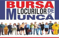 AJOFM Botoșani organizează Bursa Generală …