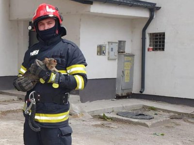 Fugărită de un câine, o …