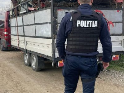 Sancțiune de 15.000 de lei …