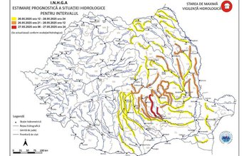 Cod galben și risc de …
