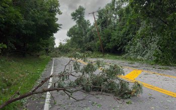 Mâine: Cod Galben de vânt …
