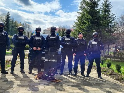 Cu prilejul sărbătoririi Zilei Internaționale …