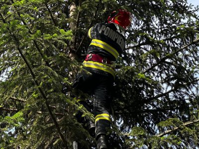 Jandarmii și pompierii au salvat …