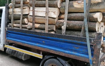 Dosare penale și material lemnos …