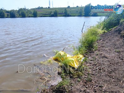 Descoperire șocantă la Dorohoi! O …
