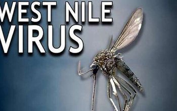 Direcţia de Sănătate Publică Botoşani: …