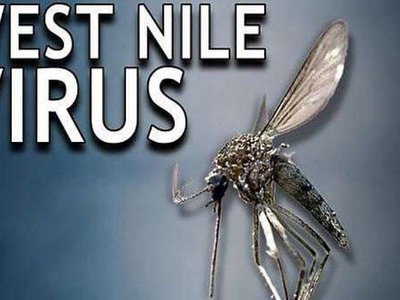 Direcţia de Sănătate Publică Botoşani: …