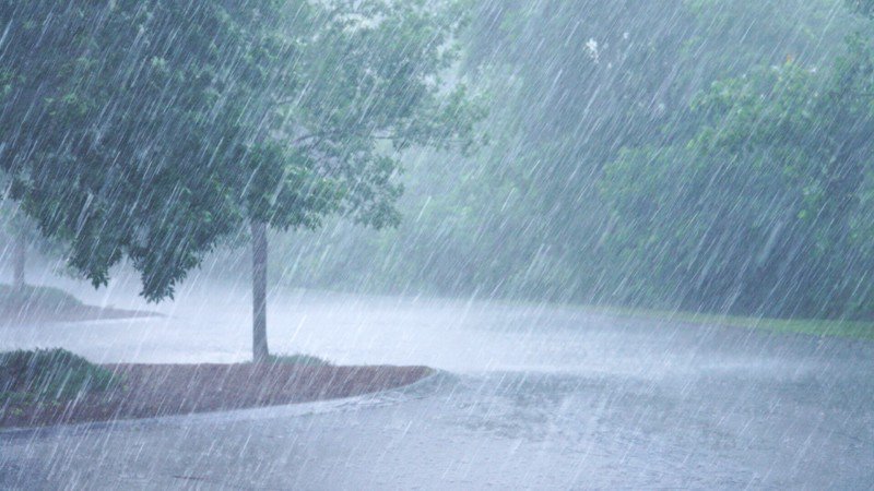 Atenție! Meteorologii au emis COD GALBEN de ploi pentru județul Botoșani