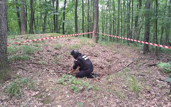 Element de muniție găsit într-o …