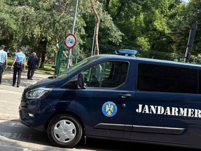 Tâlhărie oprită la timp de …