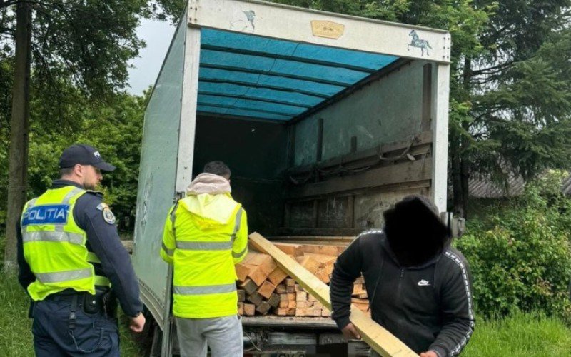 Material lemnos fără documente confiscat de polițiști la Pomârla