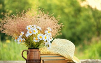 Cum va fi vremea la …