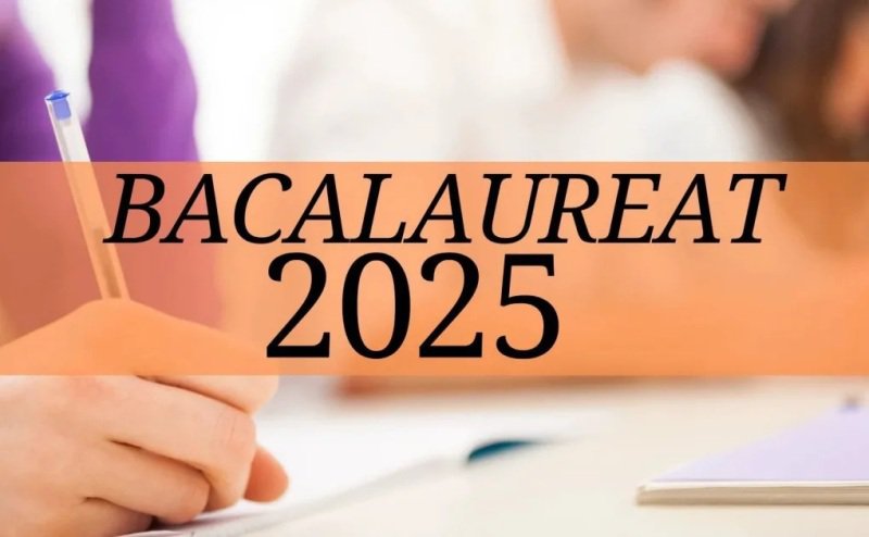 Rezultate Bacalaureat 2025. Vezi notele obținute de elevii din județul Botoșani!