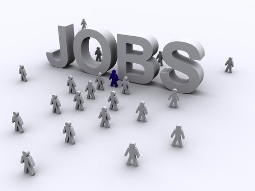 Peste 380 de locuri de muncă vacante la nivelul județului Botoșani la data de 23.06.2025