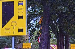 Se introduce Regula Fermoarului în …