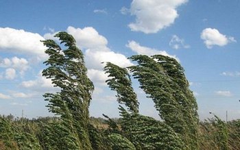 Cod Galben de vânt pentru …