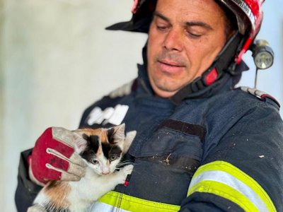 Pui de pisică salvat dintr-un …