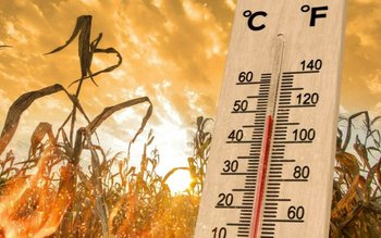 Val de căldură în Botoșani …