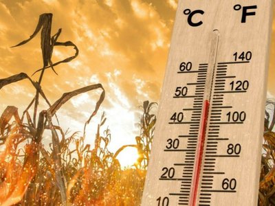 Val de căldură în Botoșani …