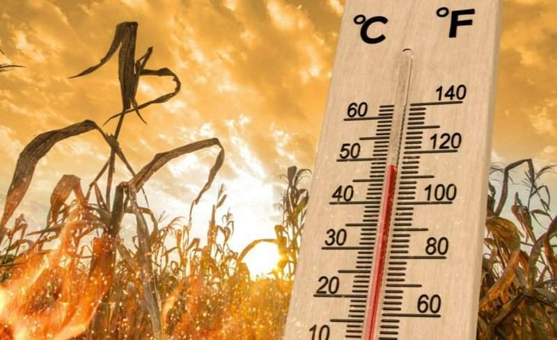 Val de căldură în Botoșani - COD GABEN în următoarele două zile