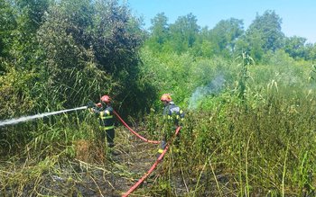 S-a redeschis „sezonul” incendiilor de …