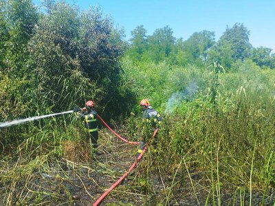 S-a redeschis „sezonul” incendiilor de …